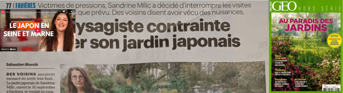revue de presse