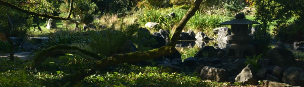 ombre du jardin japonais