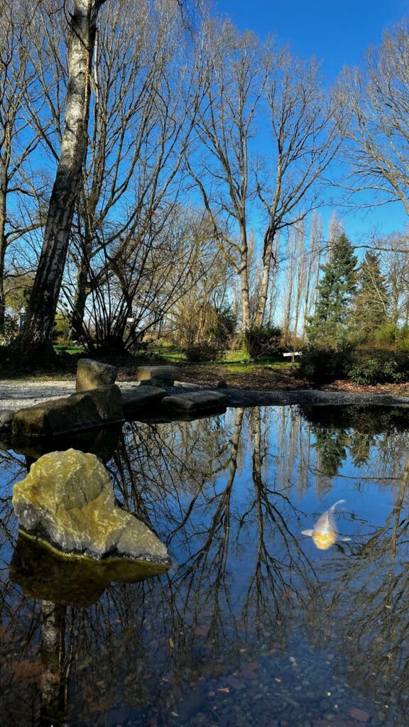 bassin japonais