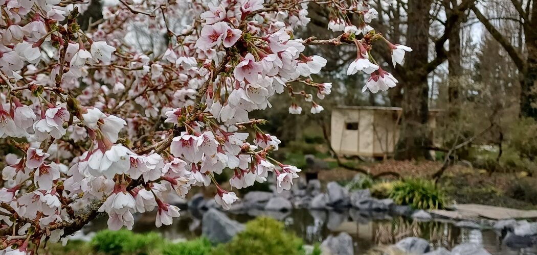 visiter le jardin