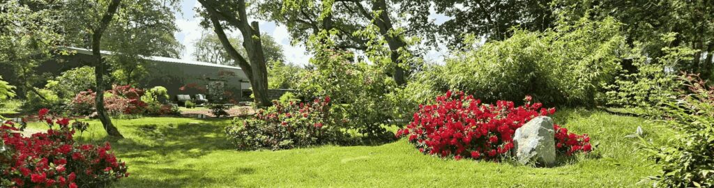 vue d'ensemble du jardin japonais