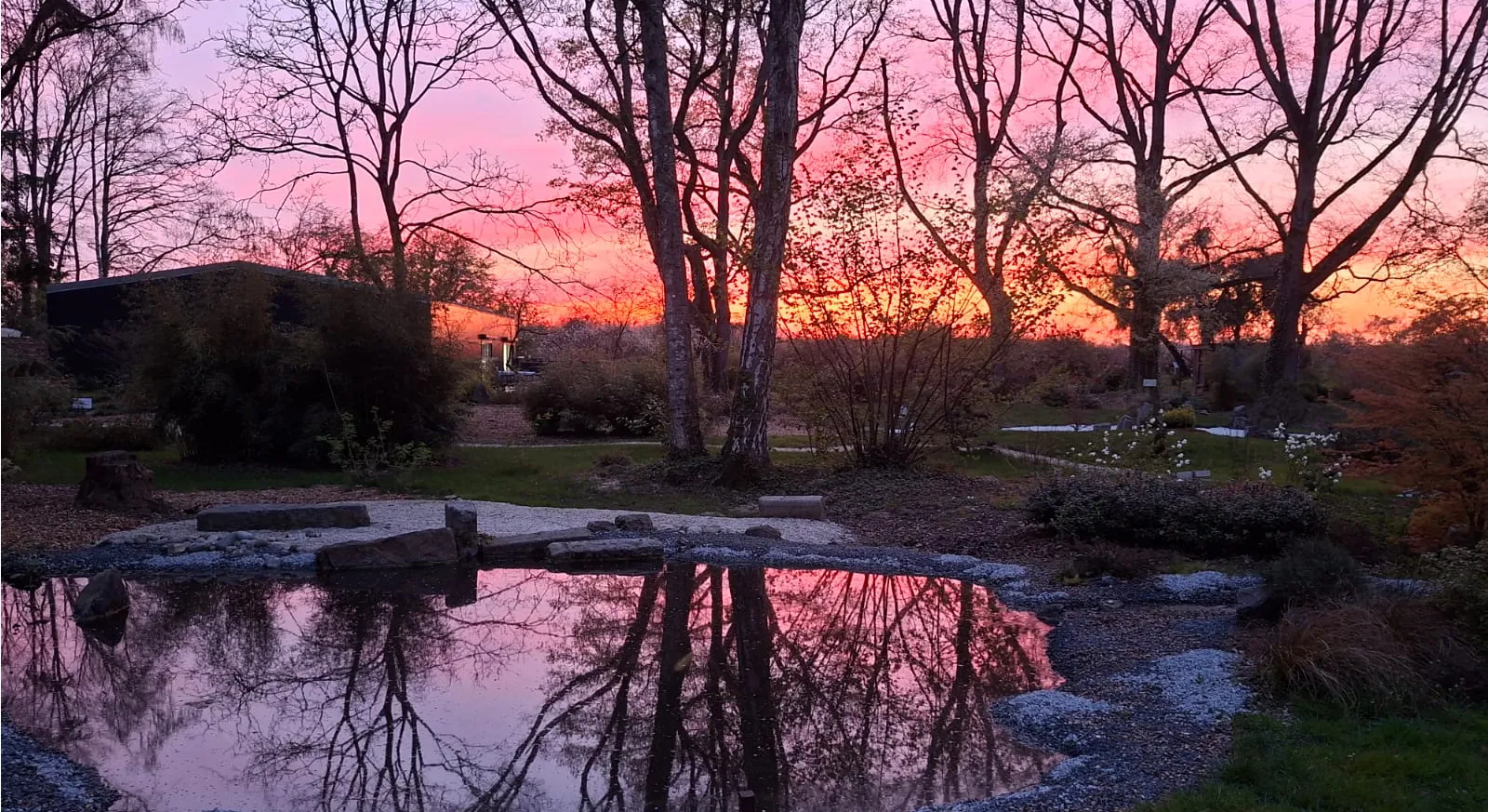 Couché de soleil sur le jardin japonais