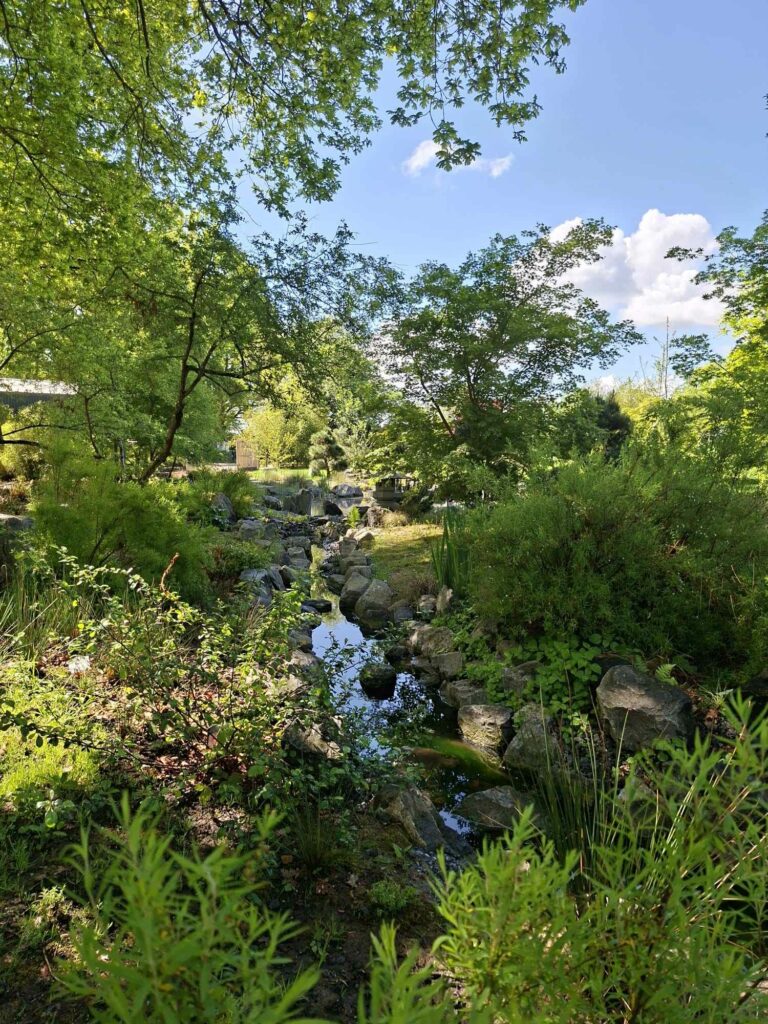 Ruisseau du jardin japonais