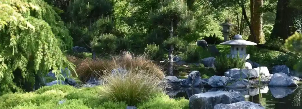 jardin japonais